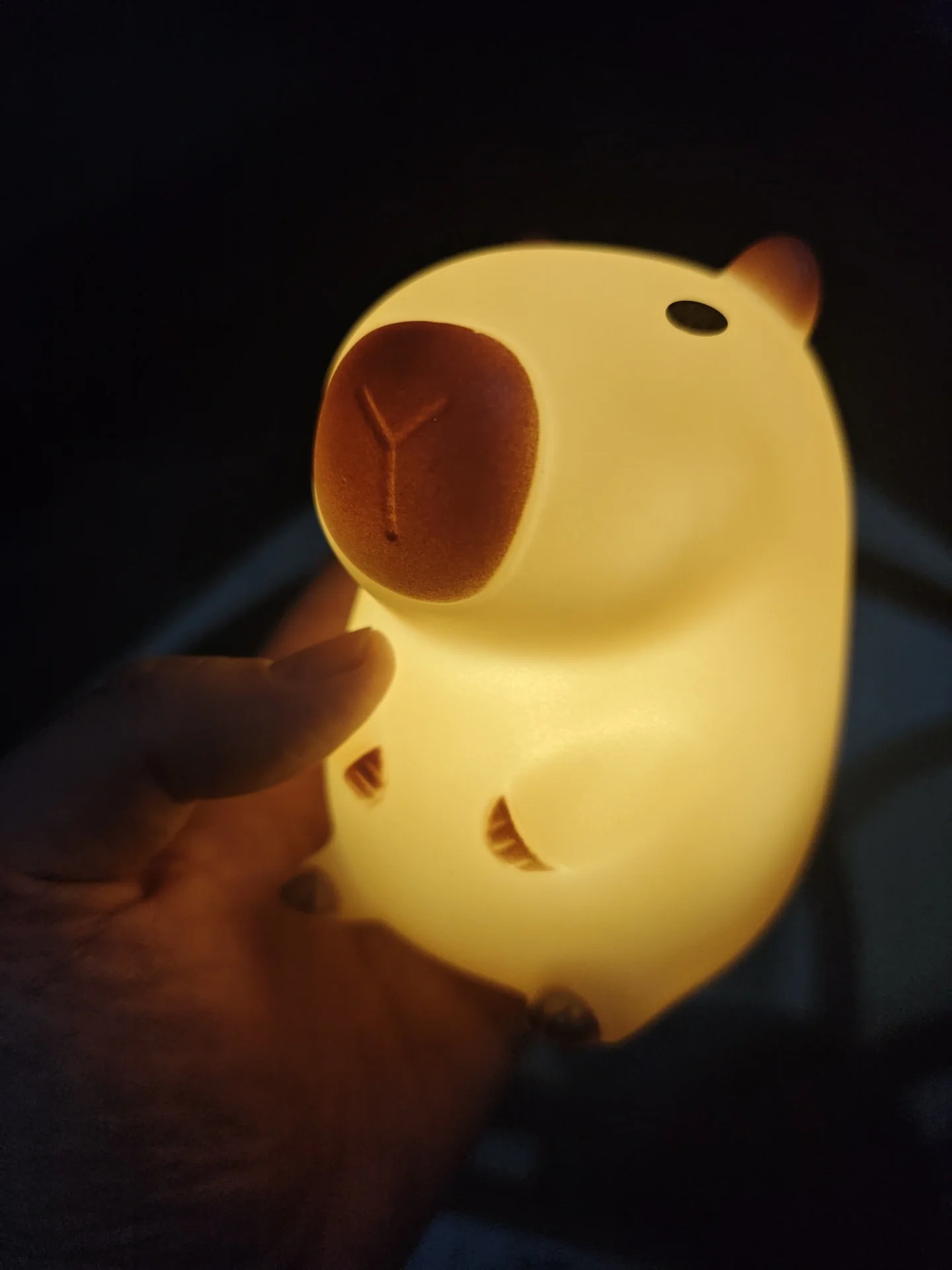 Cute Pet Capybara Night Light  - огляд і ціна Decor Lighting Sales
